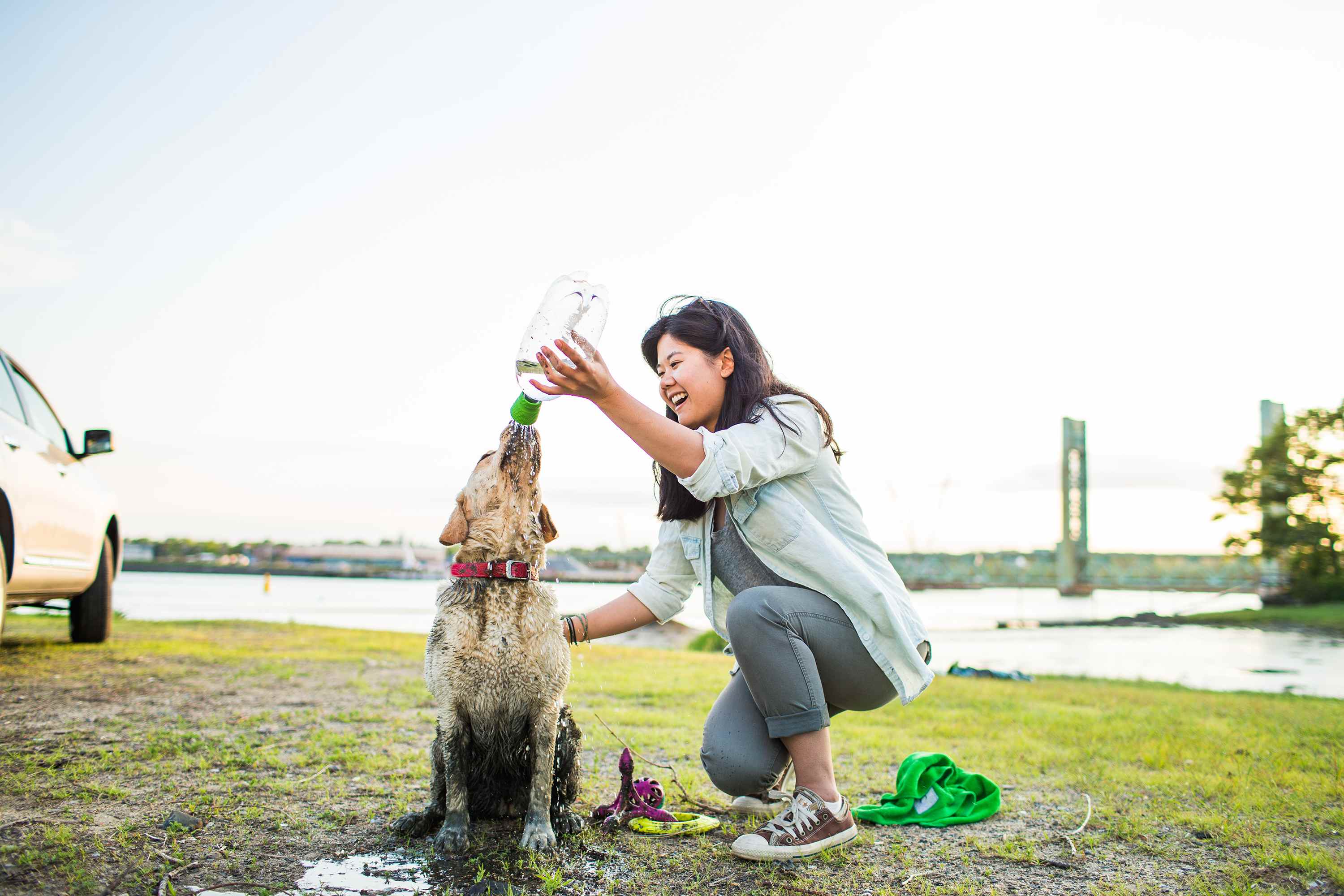 Portable Pet Shower - Gets muddy dogs clean enough to ride in your car