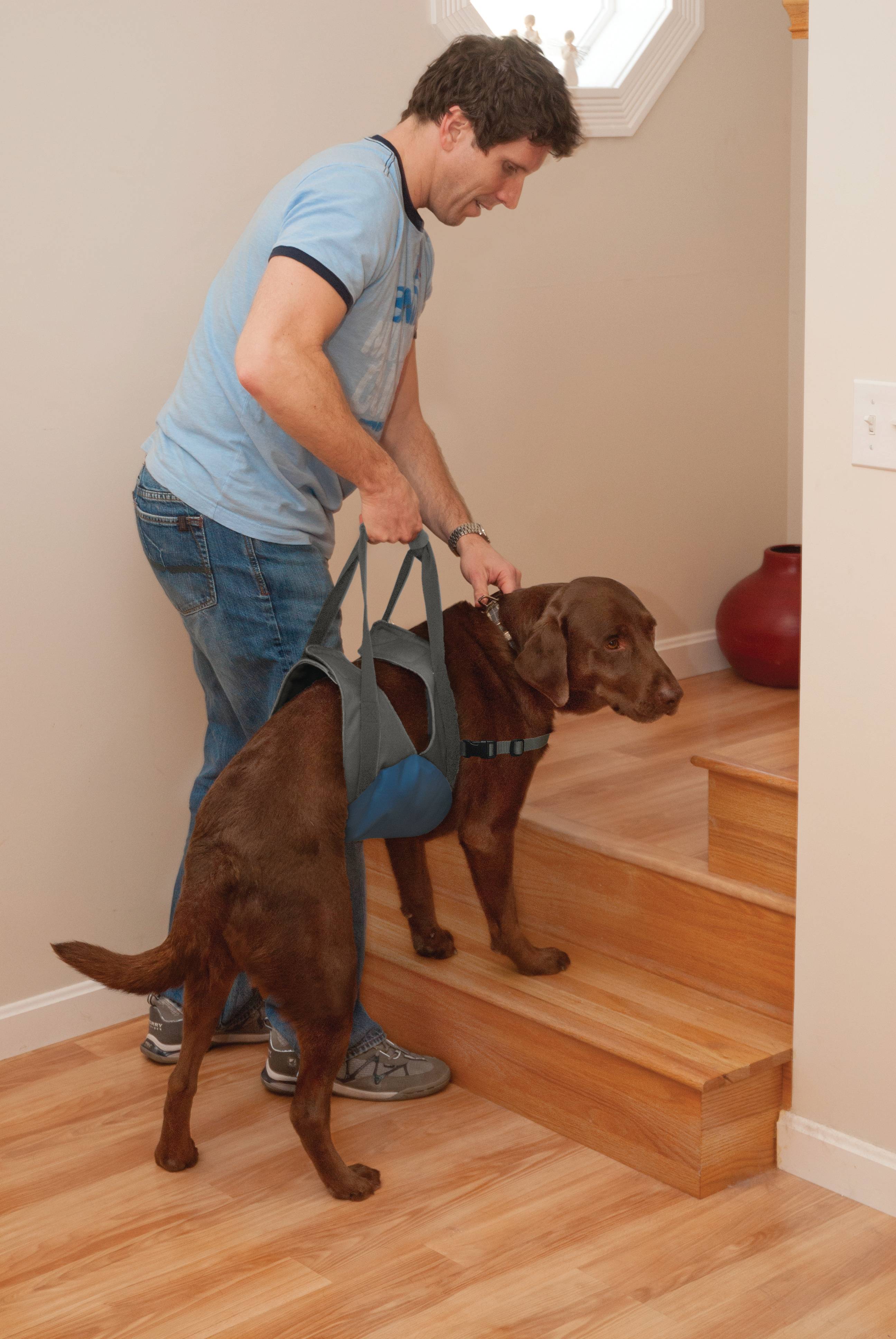 Pet Sling - Kurgo Up & About Dog Lifter - Chest Strap Adds Control