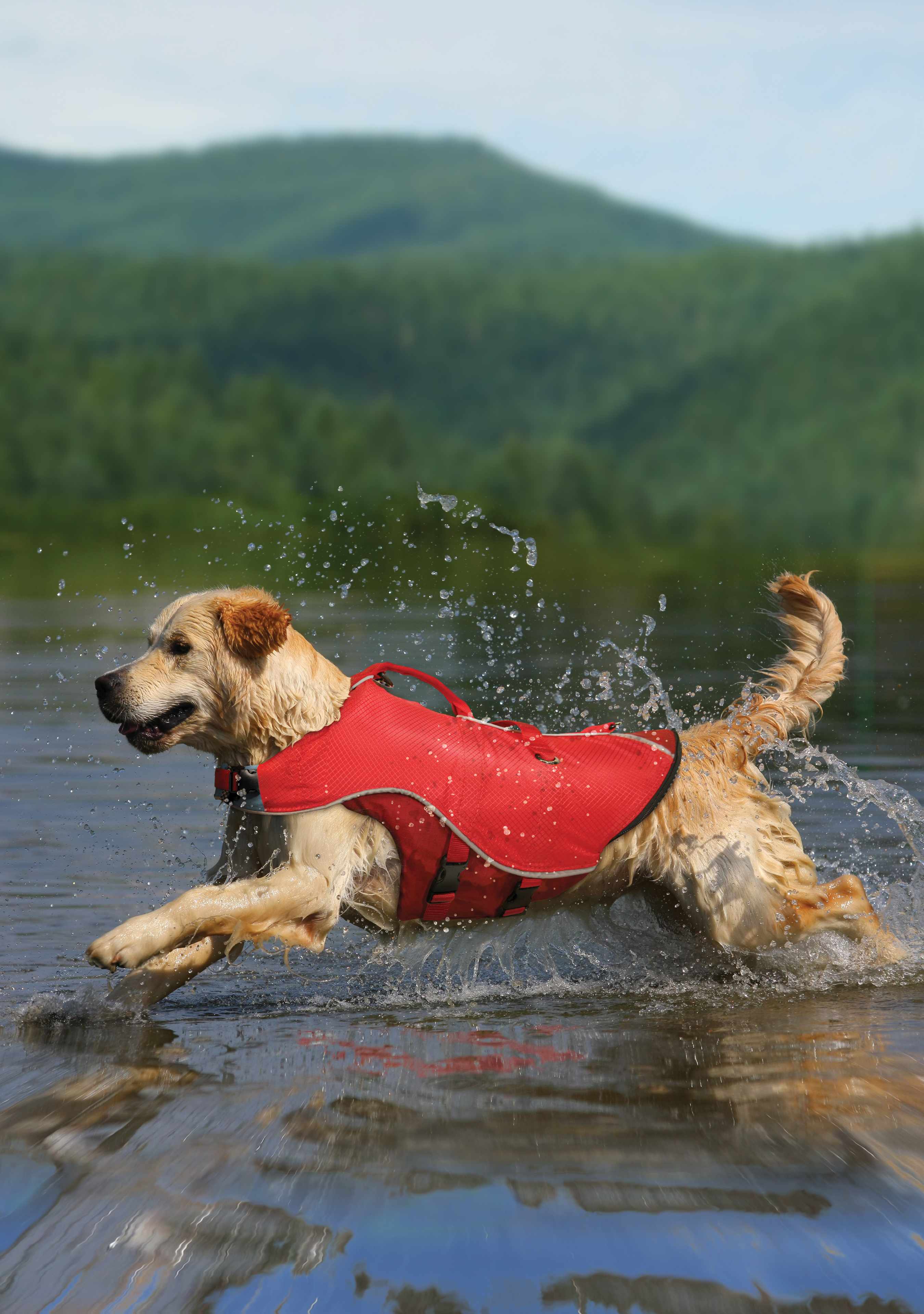 kurgo dog life jacket