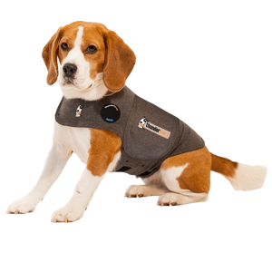 Thundershirt