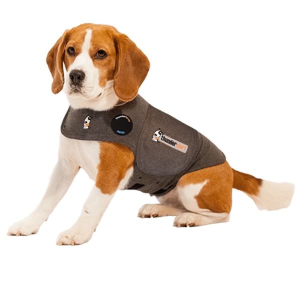 Thundershirt For Dogs Size Chart