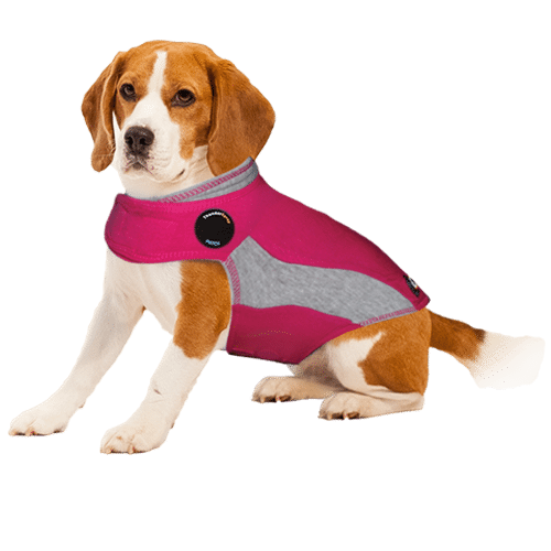 Thundershirt