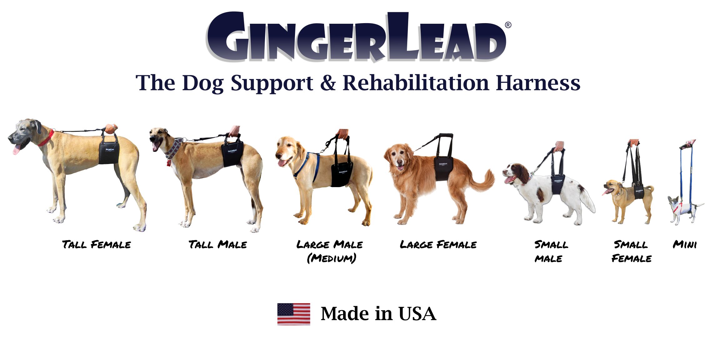 rehabilitation harness for dogs