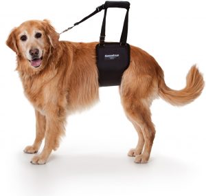 GingerLead Dog Sling Large Female