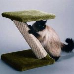 Best Scratching Post - Z Scratcher Sisal Scratching Post - Green