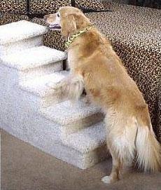 Dog Steps for High Beds -5-Step in Speckled Sand