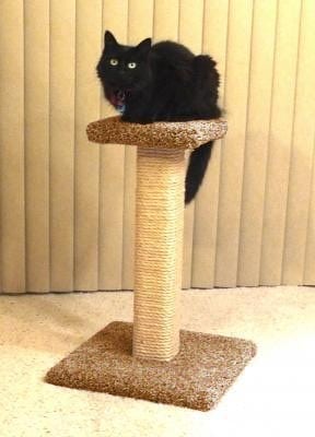 Cat Scratching Post - 24" Straight Post with Platform