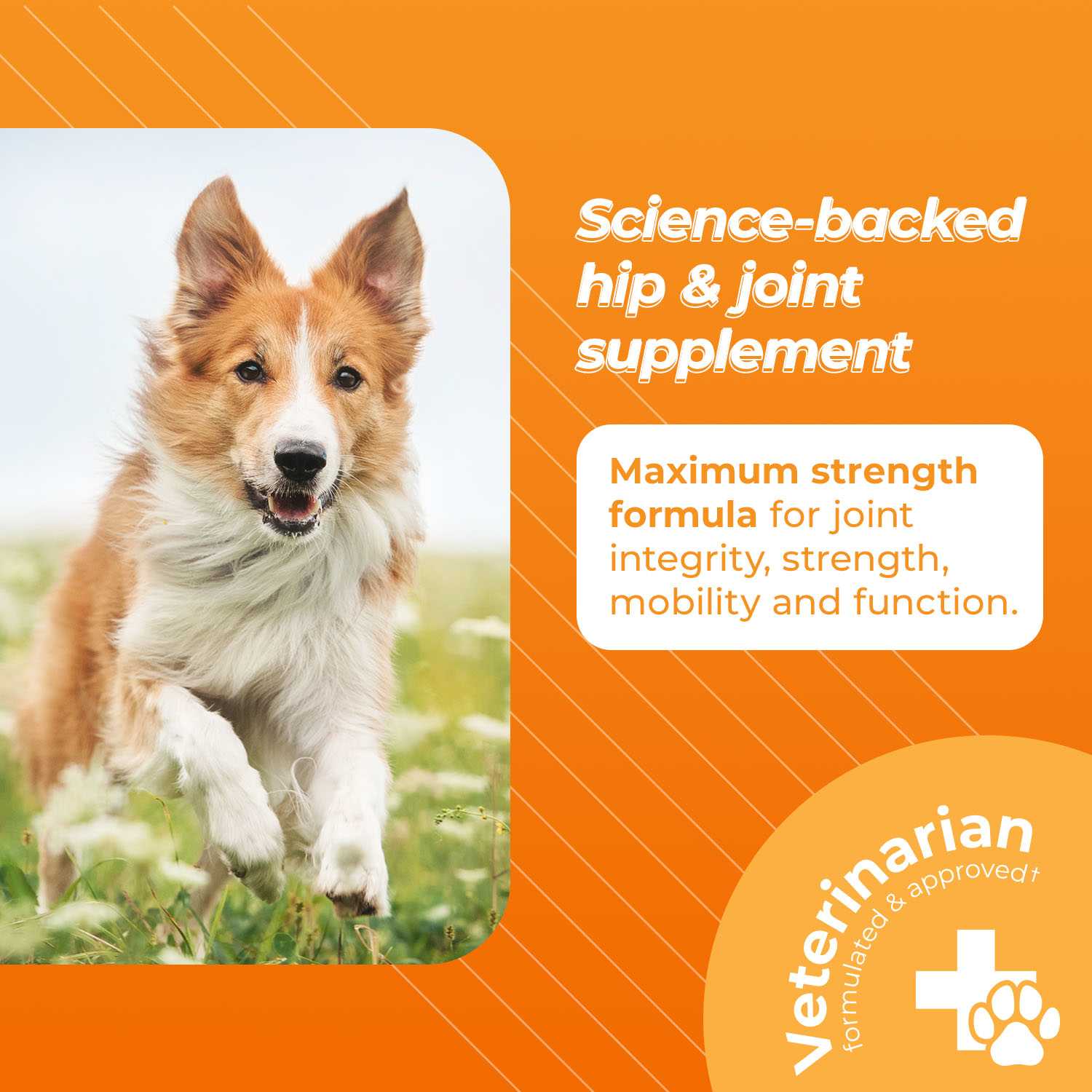 VetriScience Maximum Strength Glucosamine for Dogs