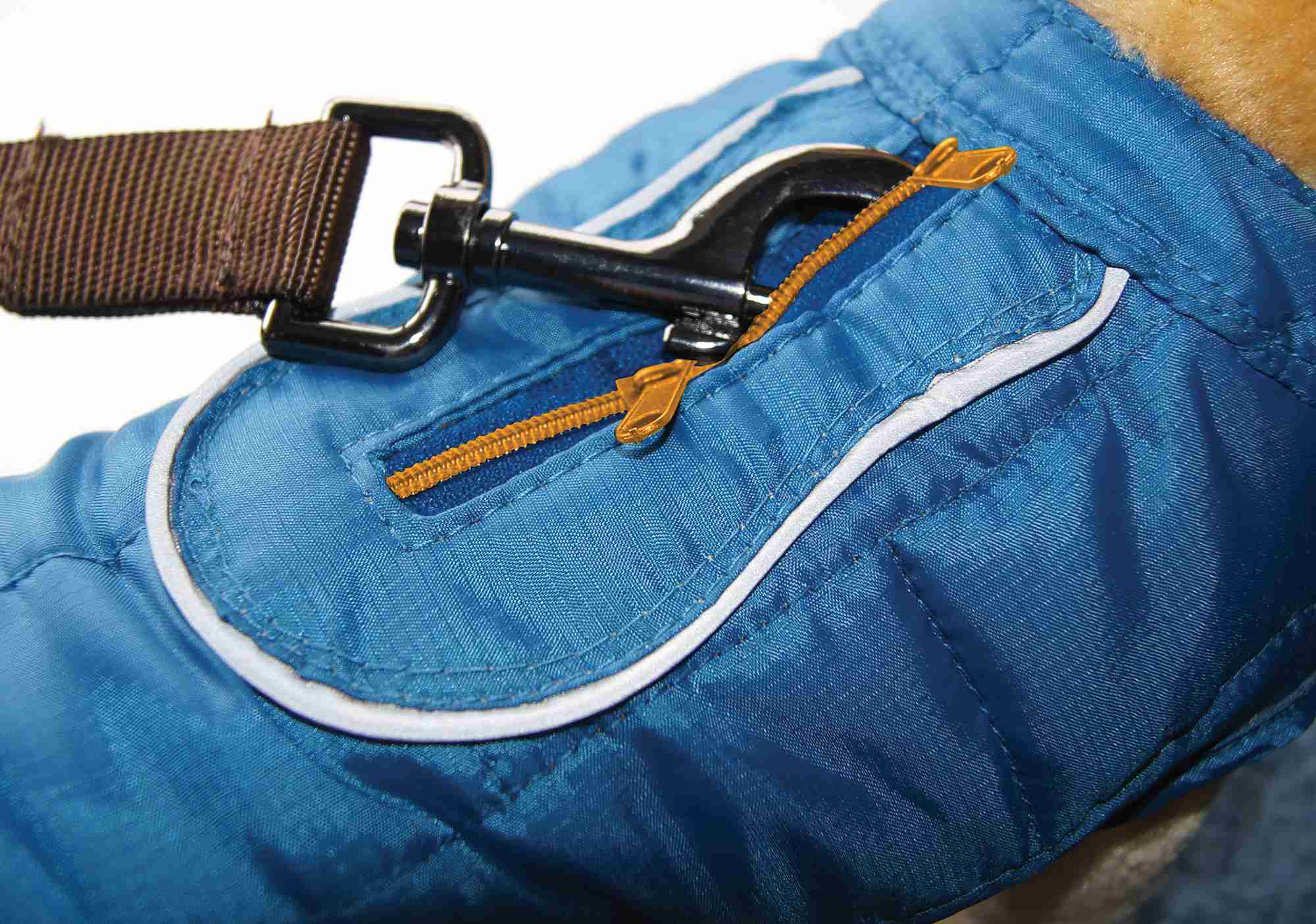 disposable bank bags