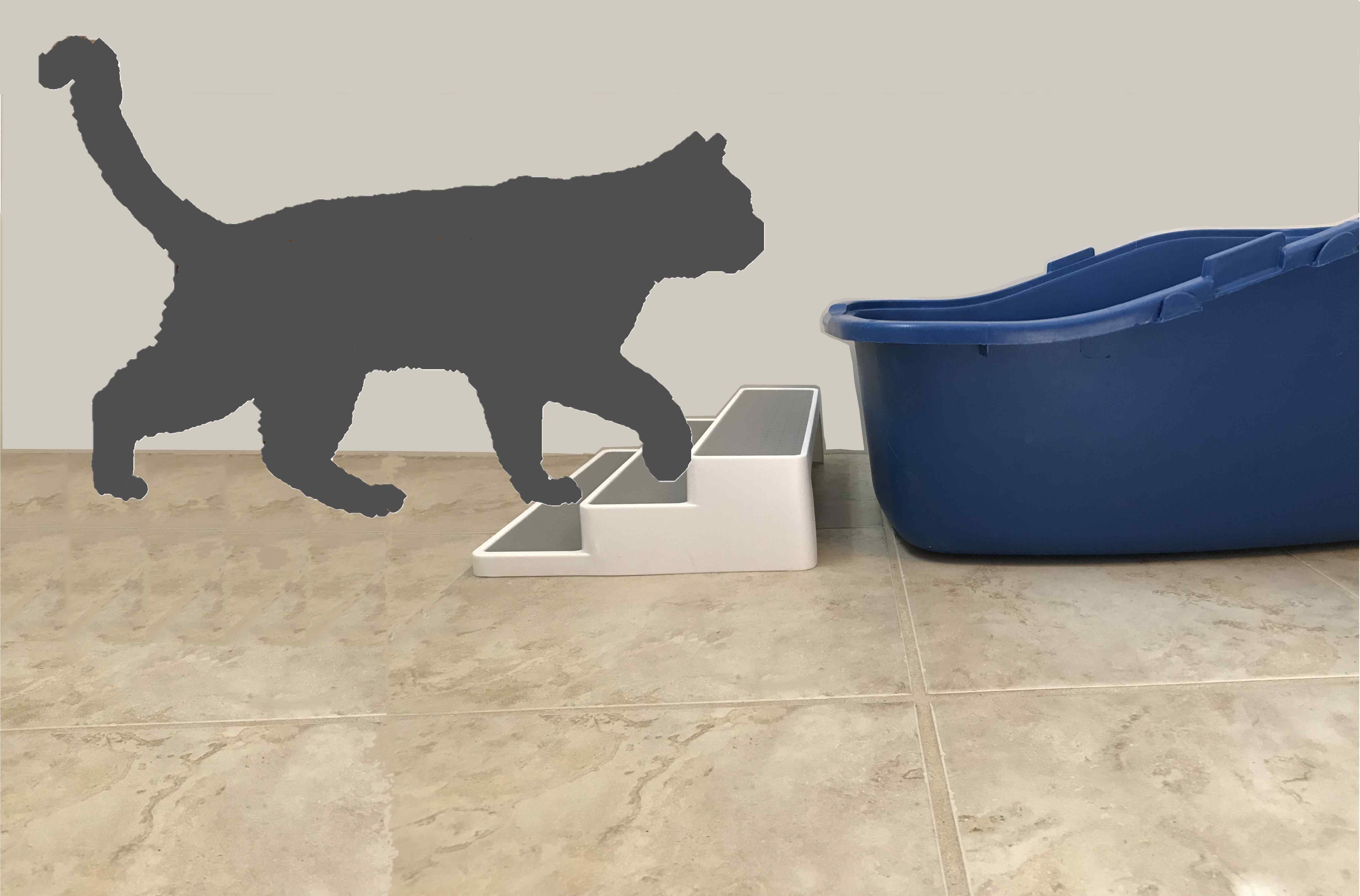 Solutions for cats peeing outside box - litter box steps to aid access