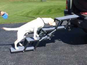 Folding Dog Steps - Pet Loader 4-Step Mini in Use