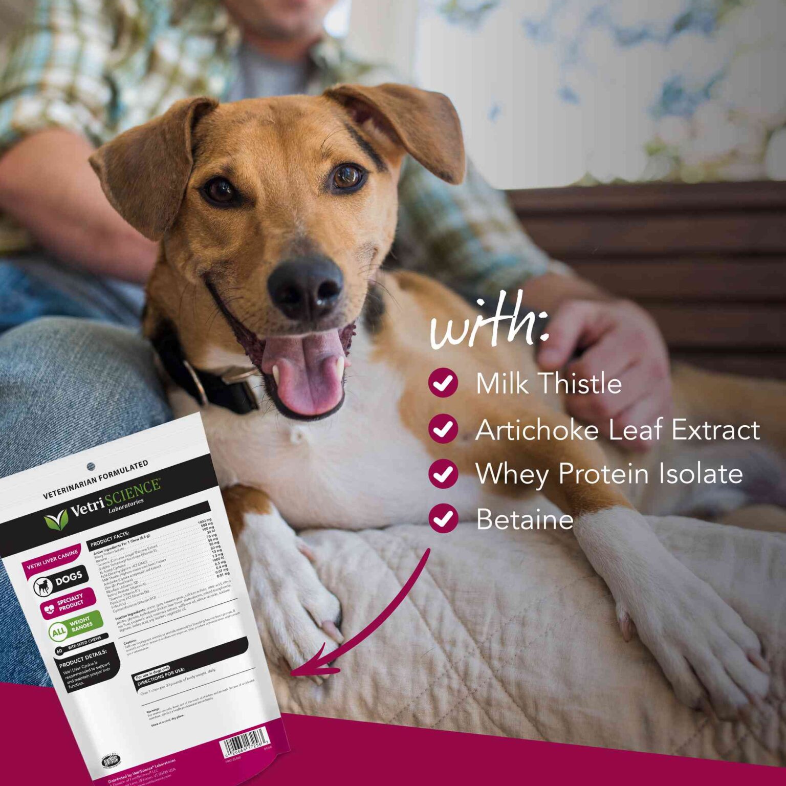 Liver Supplements for Dogs - Vetri Liver Canine Milk Thistle Supplement for Dogs - Ingredient Highlights