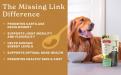 Dog joint supplement - The Missing Link Hip and Joint - The Missing Link Difference