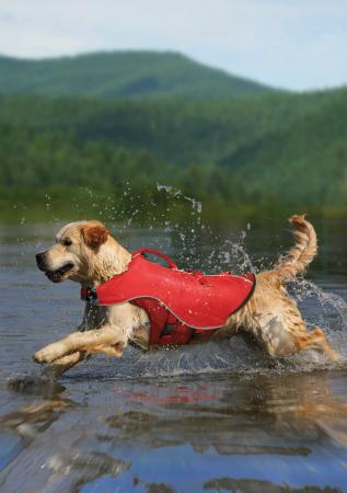 Kurgo Surf N Turf Dog Life Jacket