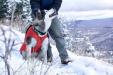 Dog winter coat - Kurgo Loft Dog Coat