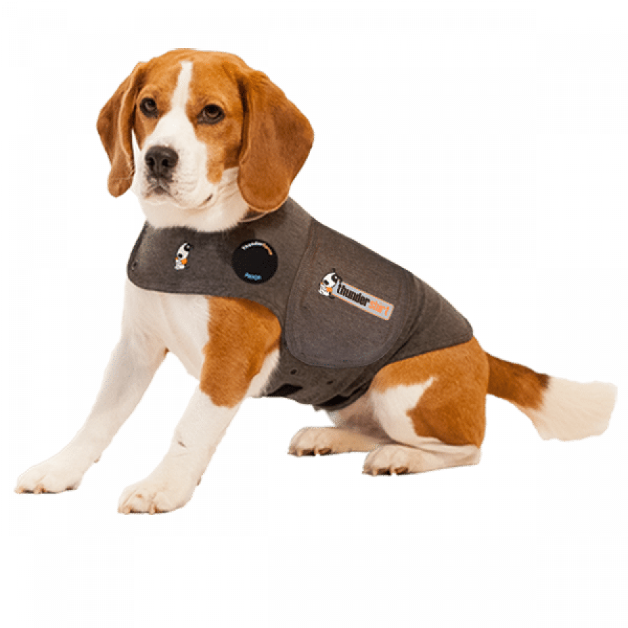 Thundershirt from Sabi Pets Thundershirt for Dogs