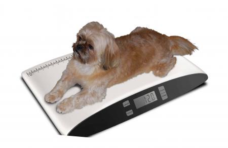 Small Dog or Cat Scale - Redmon Precision Digital Scale