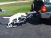 Dog Steps - Pet Loader Light