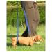 GingerLead Dog Sling, Mini Size