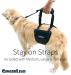 GingerLead with Optional Stay-On Straps for Medium, Large, and Tall Sizes