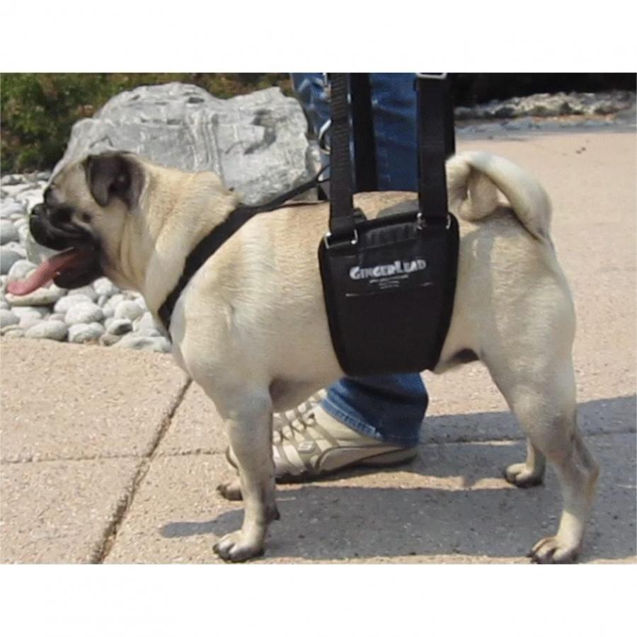 GingerLead Dog Sling Support & Rehabilitation Harness